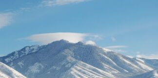 Czym jest zbycie praw własności intelektualnej?