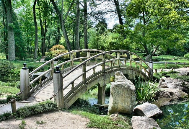 Po co jest park narodowy?