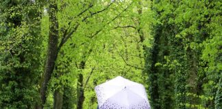 Jak znaleźć swoje miejsce w życiu?