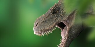 Jak przygotować się do TK kręgosłupa lędźwiowego?