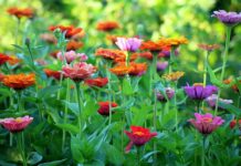 Jak człowiek chroni przyrodę? Jak człowiek chroni przyrodę?