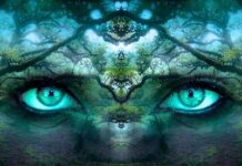 Jak chronić swoją tożsamość w Internecie? Jak chronić swoją tożsamość w Internecie?