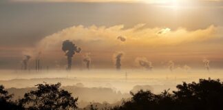 Co możemy zrobić aby zmniejszyć smog?