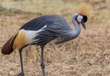 Kto jest organem ochrony środowiska? Kto jest organem ochrony środowiska?