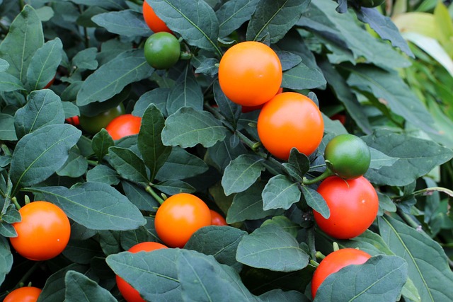 Czy nauczyciel może wystawić ocenę za brak notatek? Czy nauczyciel może wystawić ocenę za brak notatek?